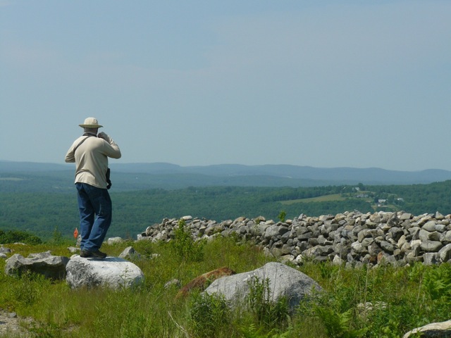 Looking for Upland Sandpipers at Clary Hill